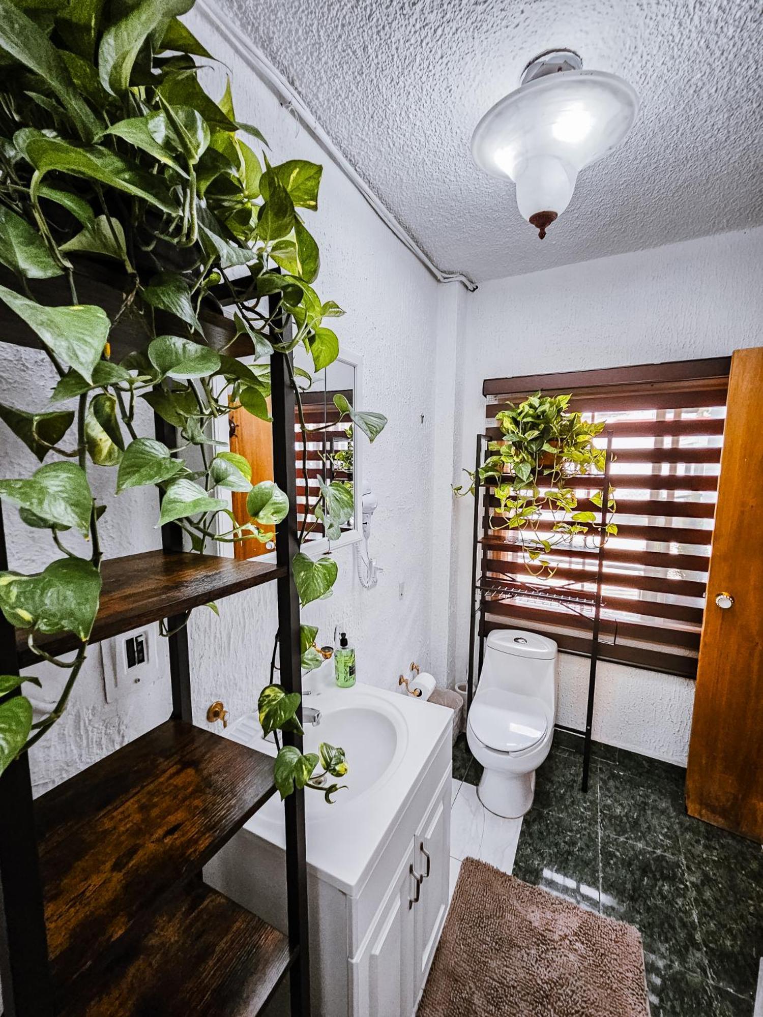 Habitacion Con Bano Privado B, Centro De Coyoacan Mexico-stad Buitenkant foto